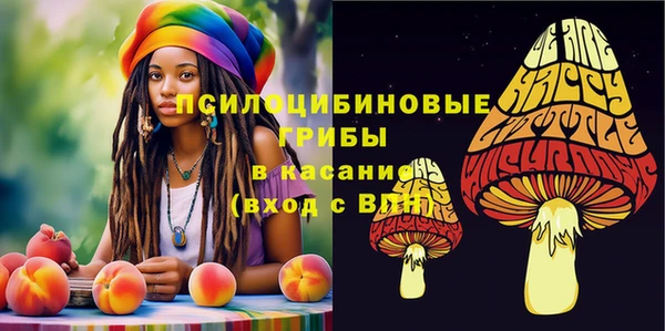 амфетамин Алексеевка