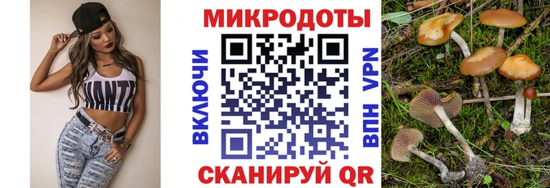 Псилоцибиновые грибы Psilocybine cubensis  Кореновск 